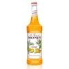 Mango Syrup By Monin