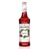 Raspberry Syrup By Monin