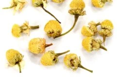 Chamomile