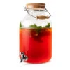 Raspberry Black Iced Tea